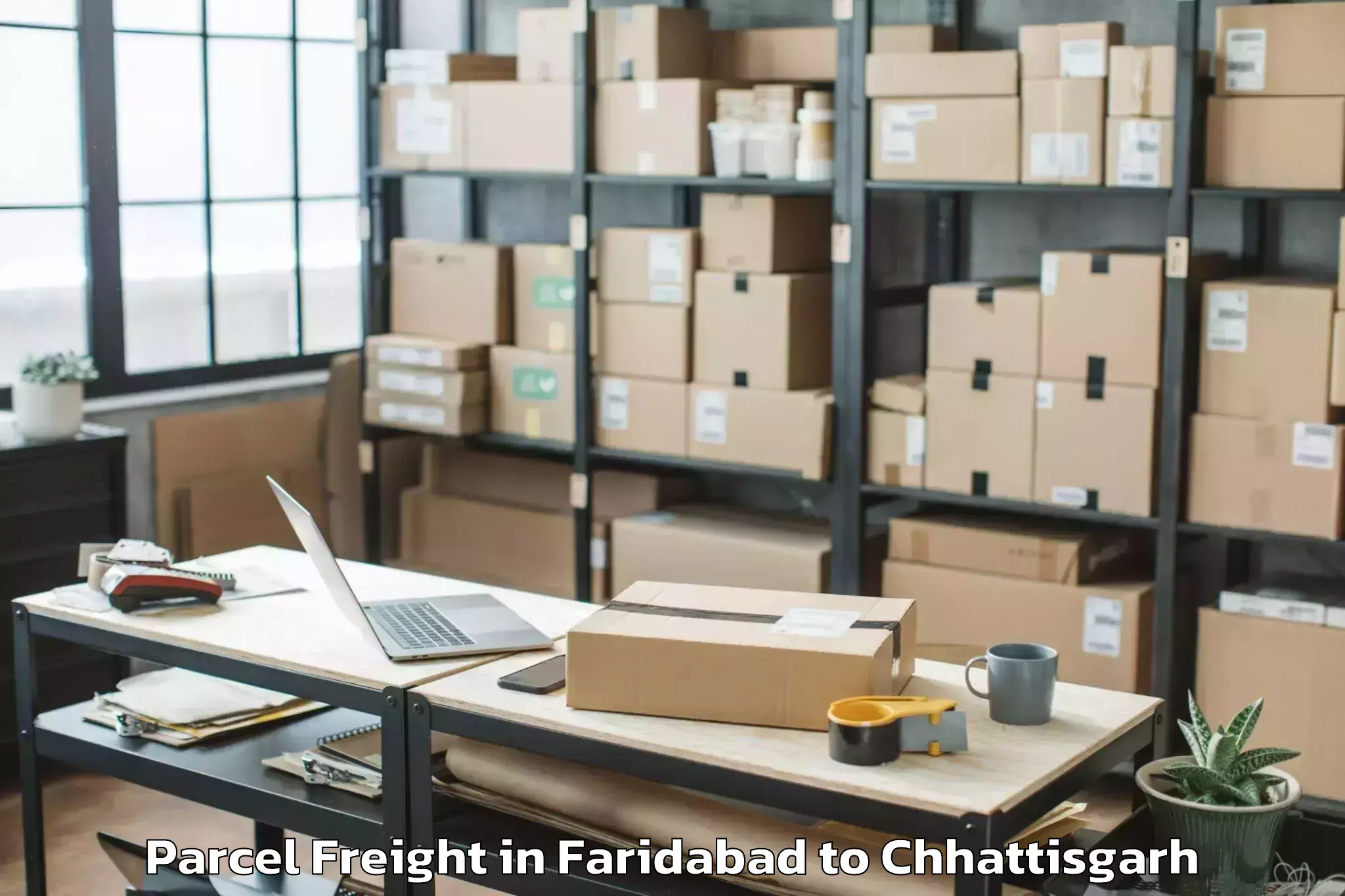 Comprehensive Faridabad to Bhilai Parcel Freight